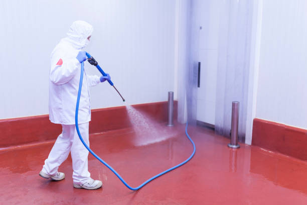 Best Paint Preparation  in Hull, IA